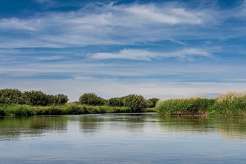 USA-Idaho-Teton River-willows and wetland near Driggs Coastal Print